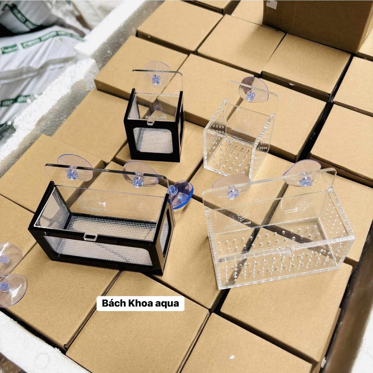 Box lưới - Mica đựng trùn chỉ trùng huyết cho cá cảnh